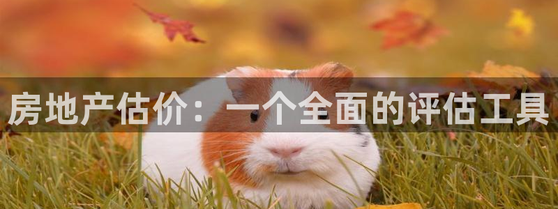 新宝5吴74OOO5：房地产估价：一个全面的评估工具