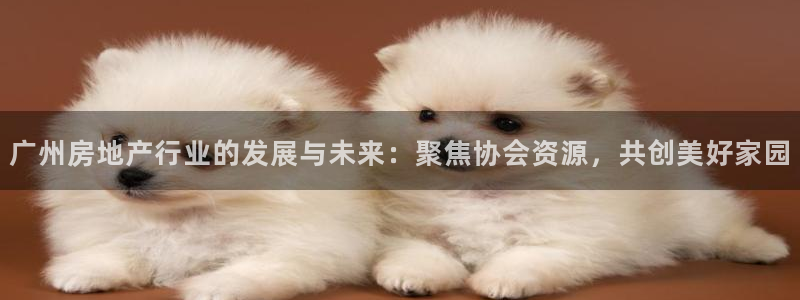 新宝5娱乐同：广州房地产行业的发展与未来：聚焦协会资源，共创