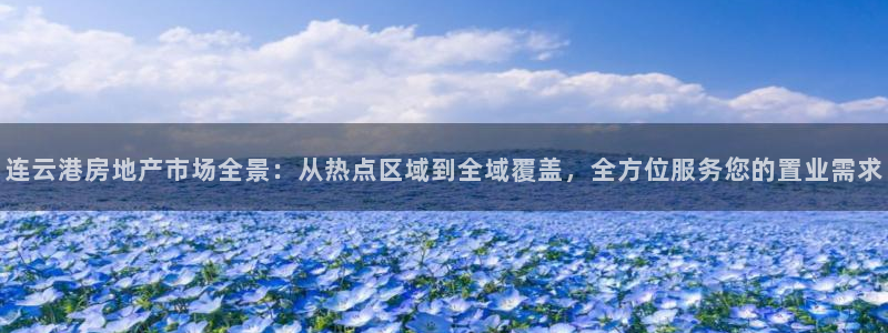 新宝娱乐5入口：连云港房地产市场全景：从热点区域到全域覆盖，
