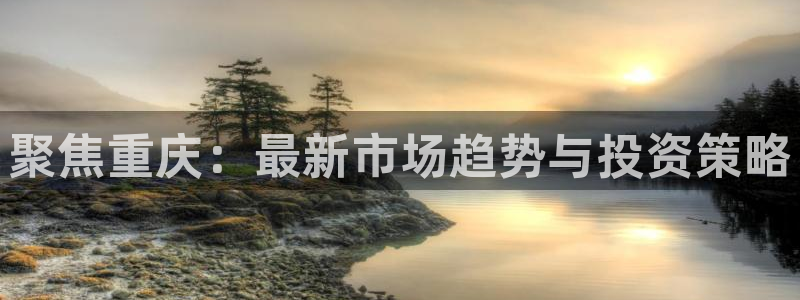 新宝5是谁的：聚焦重庆：最新市场趋势与投资策略