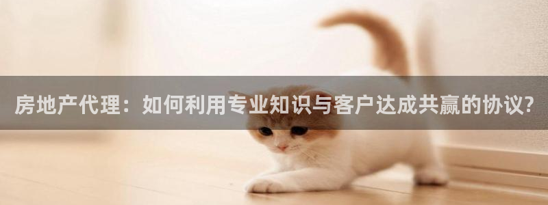 新宝5娱乐家：房地产代理：如何利用专业知识与客户达成共赢的协