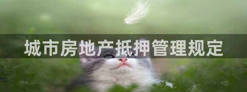 新宝5平台咋样：城市房地产抵押管理规定