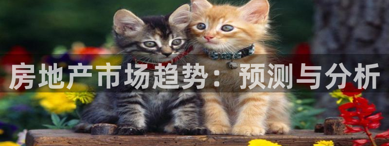 新宝5日谢29999：房地产市场趋势：预测与分析