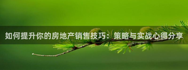 新宝5彩票是正规平台吗：如何提升你的房地产销售技巧：策略与实