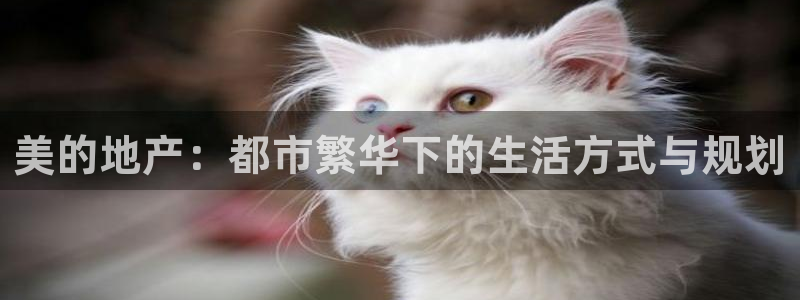 新宝5日740005蔻：美的地产：都市繁华下的生活方式与规划