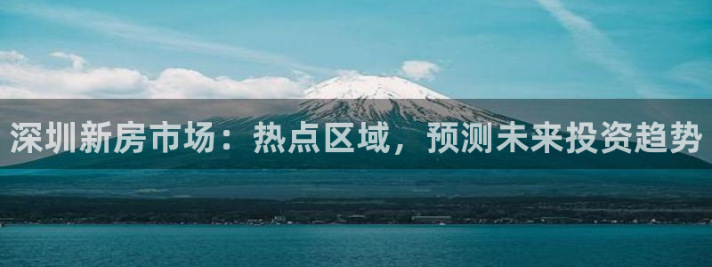 新宝5 测速：深圳新房市场：热点区域，预测未来投资趋势