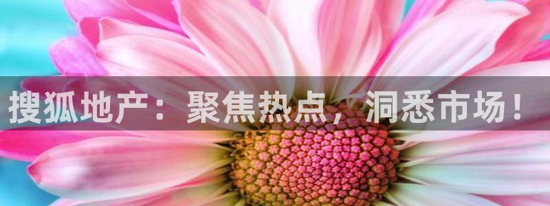 新宝5周74OOO5：搜狐地产：聚焦热点，洞悉市场！