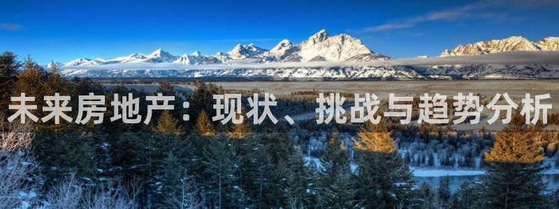 新宝5在哪里：未来房地产：现状、挑战与趋势分析