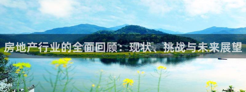 新宝rc_5w：房地产行业的全面回顾：现状、挑战与未来展望