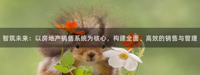 新宝5登录入口网址：智筑未来：以房地产销售系统为核心，构建全
