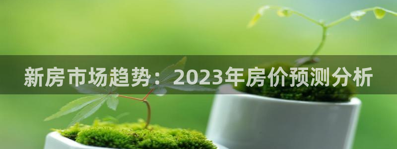 新宝5手机登陆：新房市场趋势：2023年房价预测分析