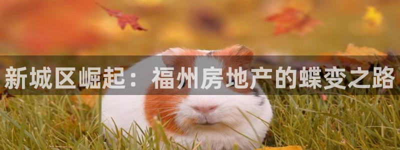 新宝5招商：新城区崛起：福州房地产的蝶变之路