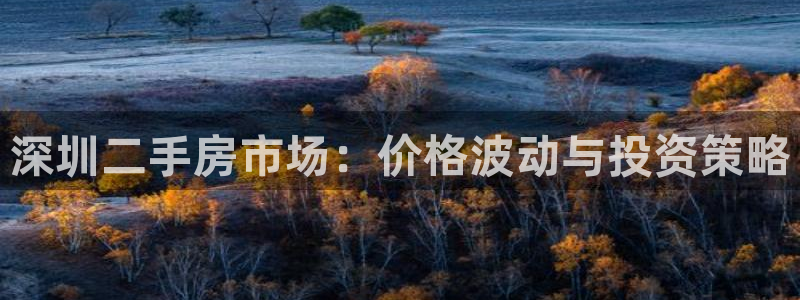 新宝5下载官方：深圳二手房市场：价格波动与投资策略