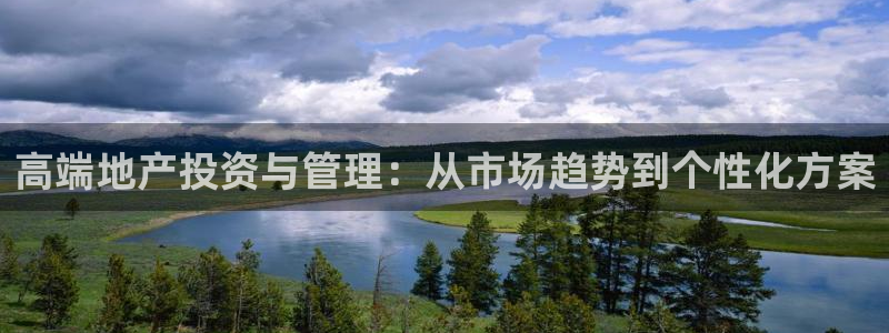 新宝5公司：高端地产投资与管理：从市场趋势到个性化方案