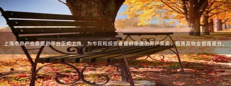 新宝5-测速：上海市房产交易服务平台正式上线，为市民和投资者