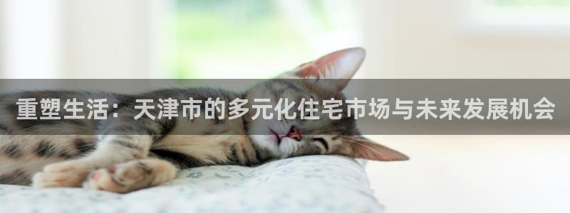 新宝娱乐5入口：重塑生活：天津市的多元化住宅市场与未来发展机