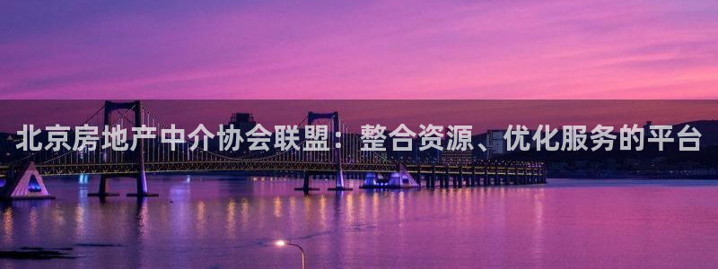 新宝5主管：北京房地产中介协会联盟：整合资源、优化服务的平台