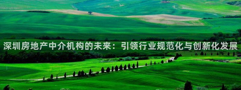 新宝5下载测试：深圳房地产中介机构的未来：引领行业规范化与创