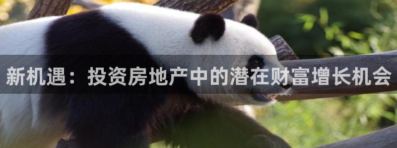 新宝奇迹GG5：新机遇：投资房地产中的潜在财富增长机会