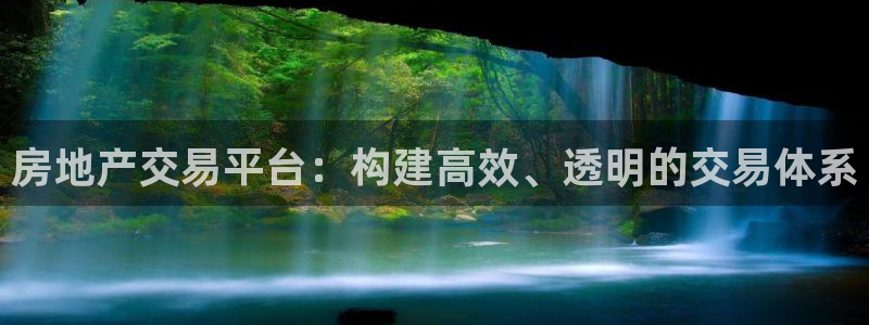 新宝5娱乐然：房地产交易平台：构建高效、透明的交易体系