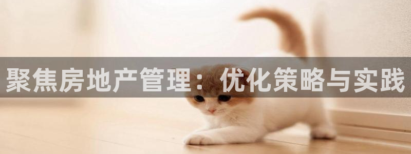 新宝b2O5O5O：聚焦房地产管理：优化策略与实践