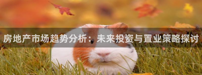 新宝5登录网址：房地产市场趋势分析：未来投资与置业策略探讨