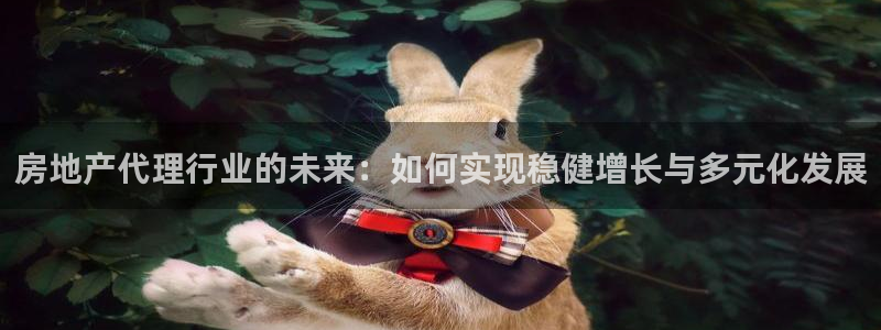 p5r新宝魔：房地产代理行业的未来：如何实现稳健增长与多元化