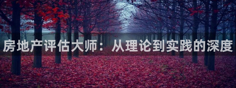 新宝5秒开：房地产评估大师：从理论到实践的深度