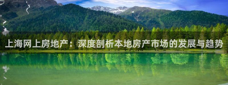 新宝5平台登录下载软件：上海网上房地产：深度剖析本地房产市场