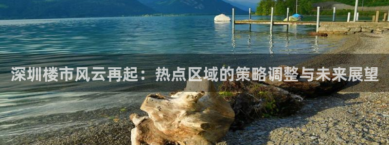 新宝5登陆地址：深圳楼市风云再起：热点区域的策略调整与未来展