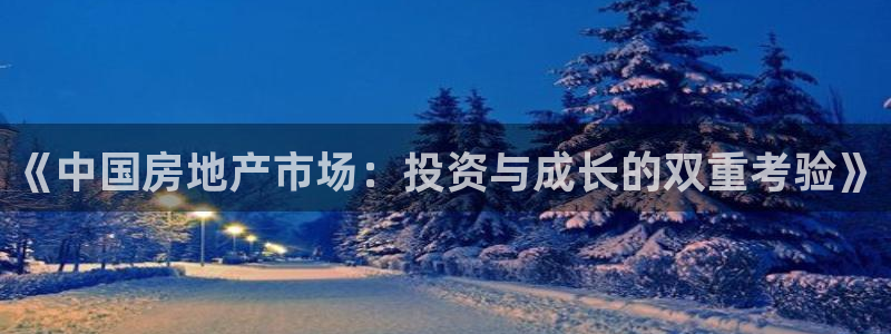 新宝5测速登陆：《中国房地产市场：投资与成长的双重考验》