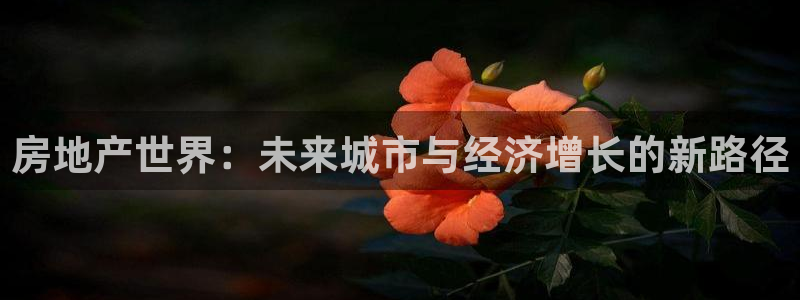 新宝5下载到桌面