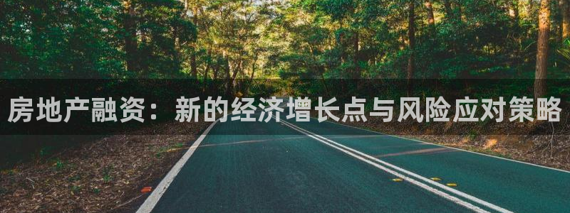 新宝5开好：房地产融资：新的经济增长点与风险应对策略