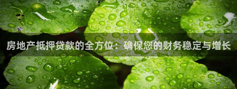新宝5电脑登录网址：房地产抵押贷款的全方位：确保您的财务稳定