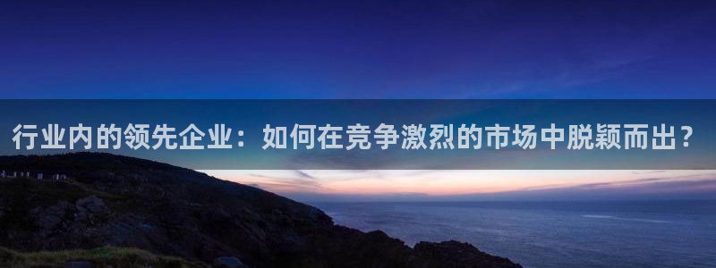 新宝5是谁：行业内的领先企业：如何在竞争激烈的市场中脱颖而出