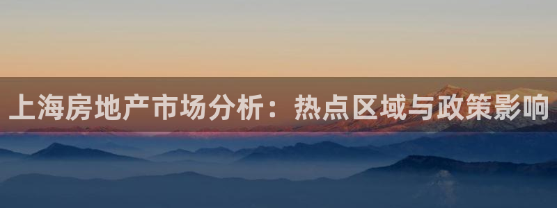 p5r新宝魔：上海房地产市场分析：热点区域与政策影响