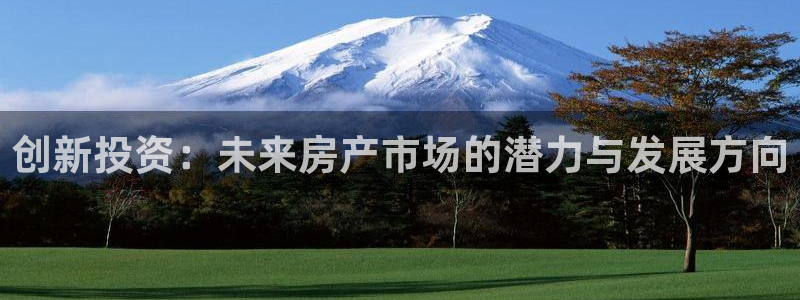 新宝5新宝6顺达：创新投资：未来房产市场的潜力与发展方向