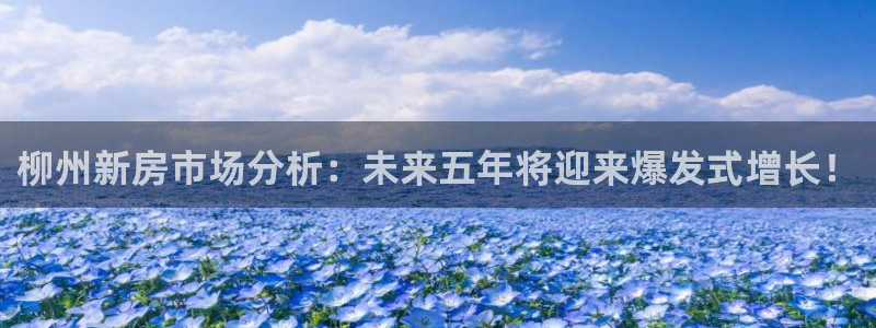 新宝5新宝6顺达：柳州新房市场分析：未来五年将迎来爆发式增长