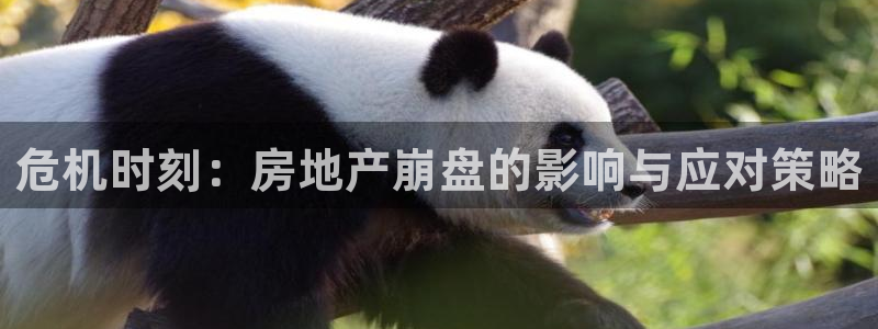 新宝5电脑登录网址：危机时刻：房地产崩盘的影响与应对策略