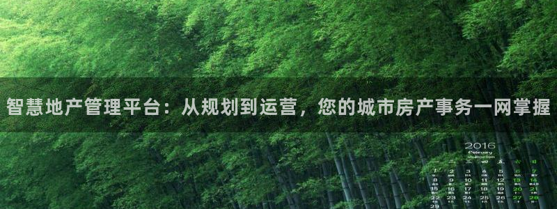 新宝5网：智慧地产管理平台：从规划到运营，您的城市房产事务一