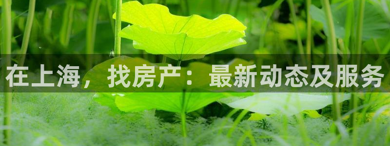 新宝5客户端登录：在上海，找房产：最新动态及服务