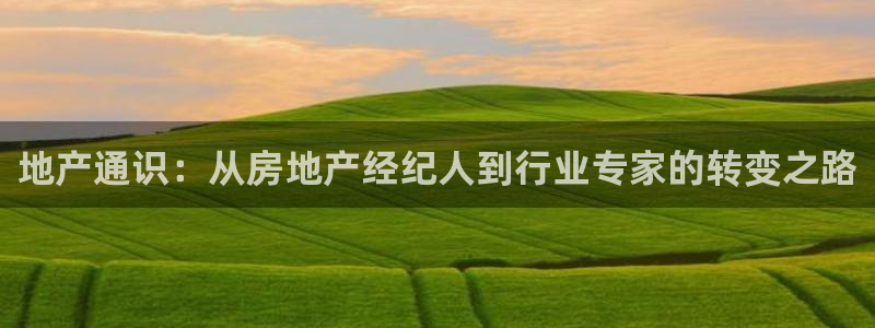 新宝cR一5：地产通识：从房地产经纪人到行业专家的转变之路