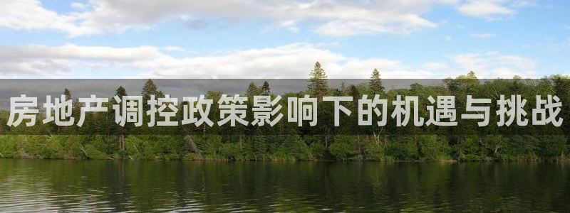 新宝5官网霸：房地产调控政策影响下的机遇与挑战