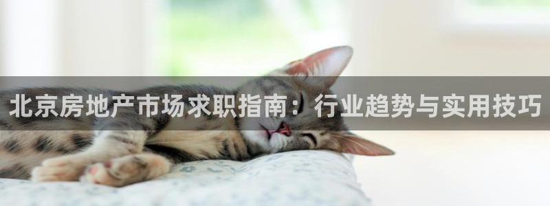 新宝5地址：北京房地产市场求职指南：行业趋势与实用技巧