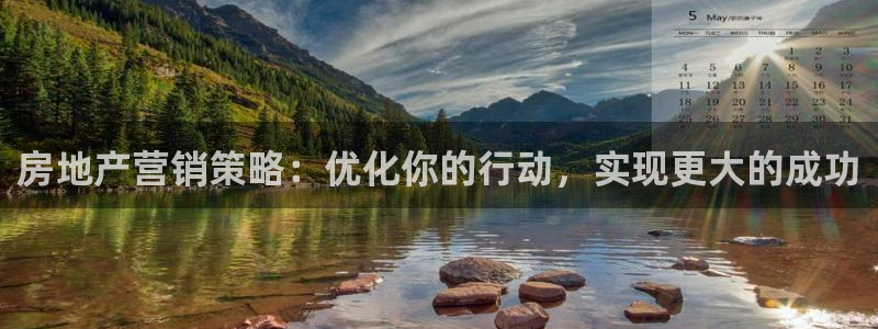 新宝5测速线路：房地产营销策略：优化你的行动，实现更大的成功