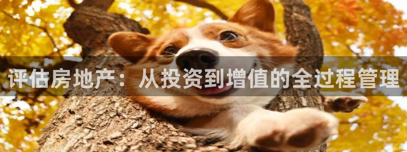 新宝5登录入口网址：评估房地产：从投资到增值的全过程管理