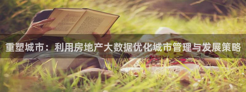 新宝5平台注册公司：重塑城市：利用房地产大数据优化城市管理与