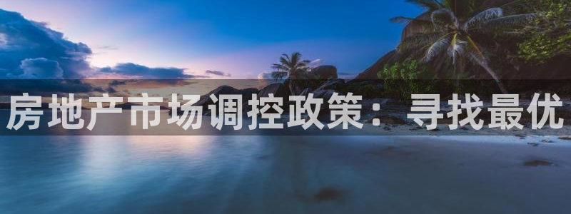 新宝5X：房地产市场调控政策：寻找最优