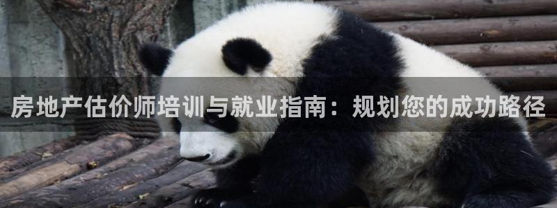 新宝5 测速：房地产估价师培训与就业指南：规划您的成功路径