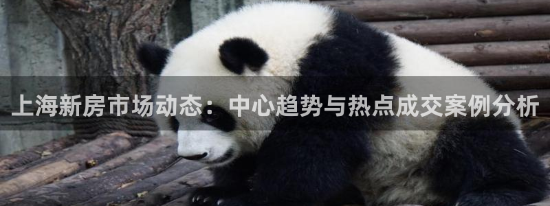 新宝5娱乐学：上海新房市场动态：中心趋势与热点成交案例分析